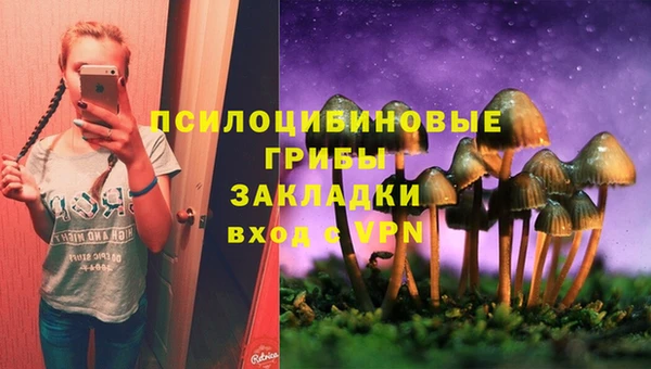 таблы Покачи