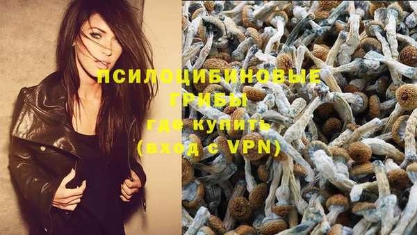 бошки Покровск