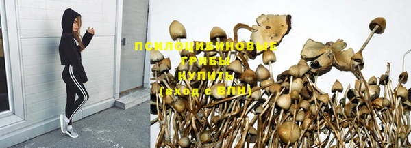 таблы Покачи