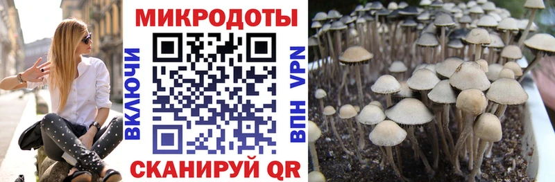 darknet Telegram  купить закладку  Покачи  Псилоцибиновые грибы прущие грибы 